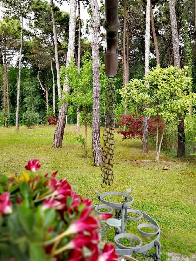 Hotel&wellness Fra I Pini 3* Lignano Sabbiadoro