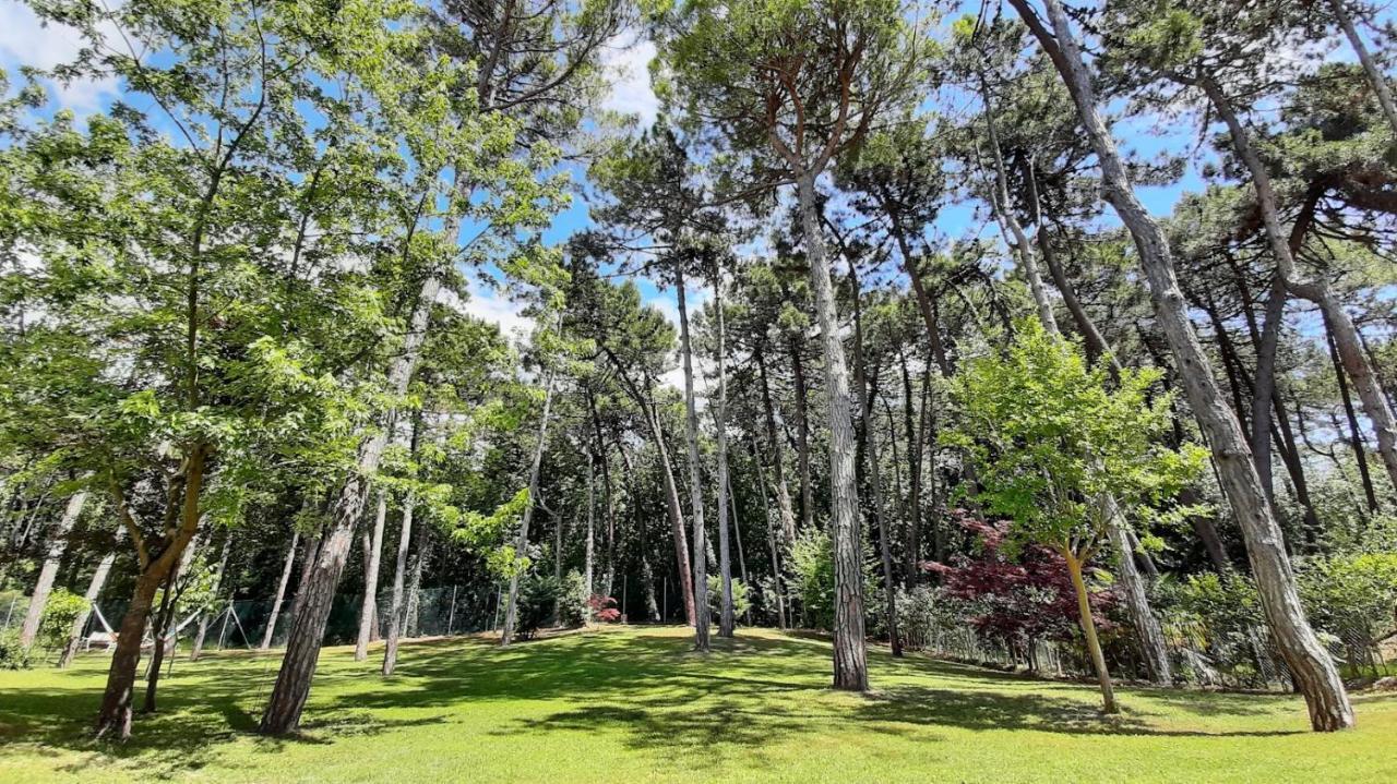 Hotel Hotel&wellness Fra I Pini 3*